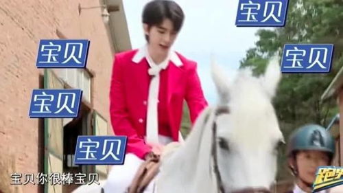 蔡徐坤是什么人间小王子,对一匹马都这么温柔,坤坤别骑马了骑我啊 