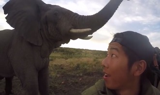 南非一大象爱 自拍
