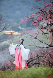 聆听 三生三世,十里桃花