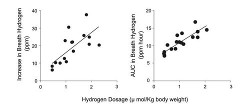 饮用氢水后,呼出氢气浓度与健康有关