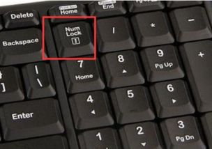 numlock键不亮怎么办_键盘num不亮主机能运行？