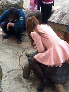 粉衣女子不顾众人反对骑在乌龟身上,结果让女子尴尬不已 