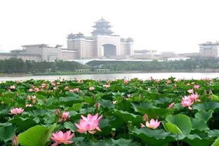 北京莲花池公园收费吗 (莲花池公园免费停车场收费标准)