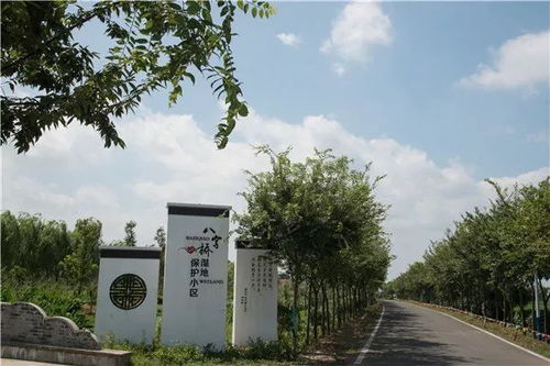 骄傲 这两个村新入选 江苏最美乡村 ,常州的6个最美乡村 