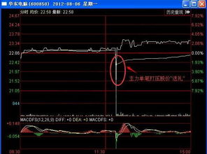 盘中有大单一直打压股价，说明什么问题