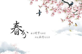 时宜 二十四节气原创诗歌 春分