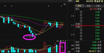 紫金矿业今天为什么会涨停?我持有1000股后市应该如何操作？