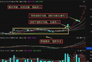 请教各位,股票被DR是什么意思?如果上一天10元买进,第二天DR后变成5元了,那不赔了吗?