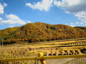 松花湖旅游规划(松花湖旅游景点介绍)