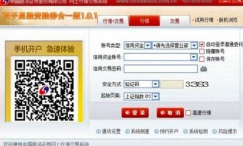 为什么银河证券的双子星系统调不出“公司资讯”？