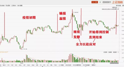 2003年12月14日，美国宣布取消2002年3月20日起对进口钢材高达30％的关税，并对厚钢板实行进口限额的这一做法。美国对进口钢材征收高额关税