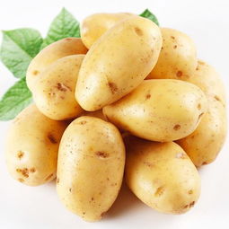 红薯和土豆的营养价值哪个更高 