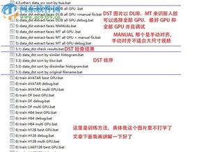 dst格式是什么?