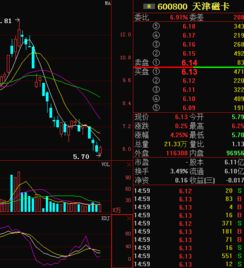 迄今为止，共1家主力机构，持仓量总计1.48亿股，占流通a股42.77%什么意思