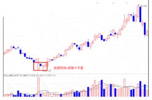 新手炒股怎么抢反弹 抢反弹是什么意思