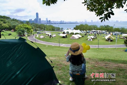 深圳公园 零废露营 体验日活动举行