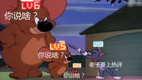 小a解说 猫和老鼠,欢乐互动 这个游戏让猫怎么玩啊