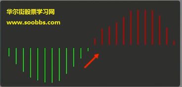 我是股市新手，想买股票，请问去哪里申请。另外如何在网上直接买卖