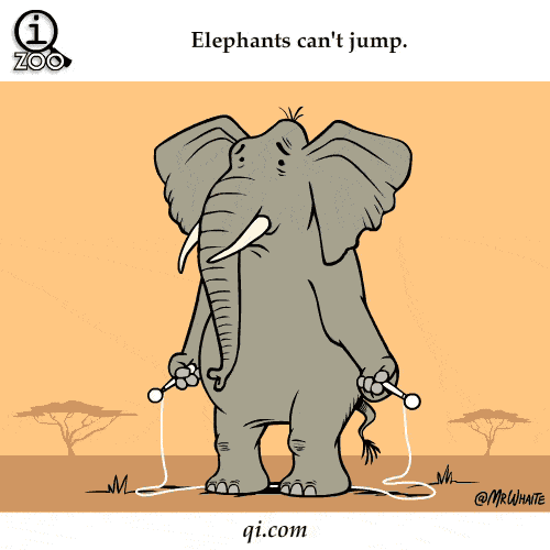 你知道大象的哪些知识