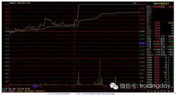 二胎概念股票是什么意思