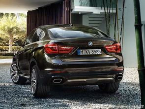 【全新BMW X6让道路为舞台 世界由你主宰_临汾宝诚新闻资讯】-汽车之家
