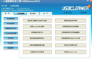 u盘病毒专杀工具usbcleanerv6.0