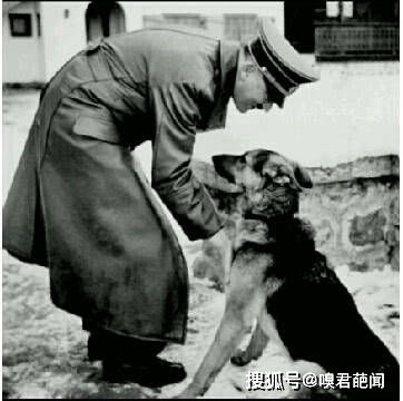 希特勒人生的十个瞬间 喜欢养狗,私下练习演讲近乎癫狂