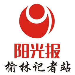 天安保险股份有限公司这家公司怎样