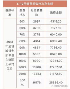 章丘交养老保险费多少钱个人怎么交养老保险交多少钱一个月