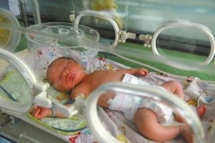 新生男婴被弃医院马桶 父母或涉故意杀人罪新闻频道 