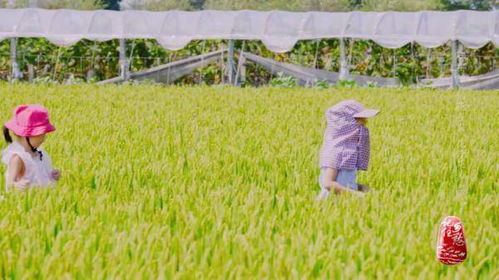 守着稻田，住在花园，杭嘉湖平原上这个小村庄，有诗意田园的味道-