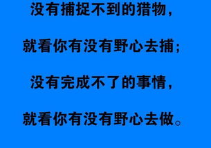 世界上没有免费的午餐这句名言 世界上没有免费的午餐 下一句是什么