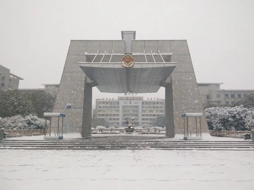 湖北本一大学有哪些专业吗