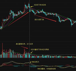 股市实际中你们止损点是多少？