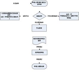 大创项目流程图 信息评鉴中心 酷米资讯 Kumizx Com