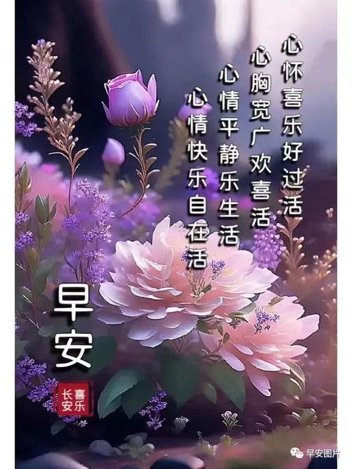 8月1日唯美早安漂亮图片问候祝福语