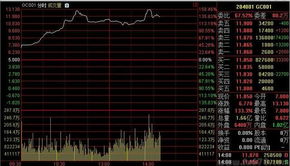 白银T+D是怎么操作的，请举例说明下，谢谢，杠杠随便几倍