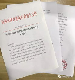 关于成立行业协会换届筹备工作领导小组的通知 