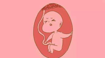 怀孕过了10周就安全了 孕妇大意没去产检,元宵节前胎儿流产了 