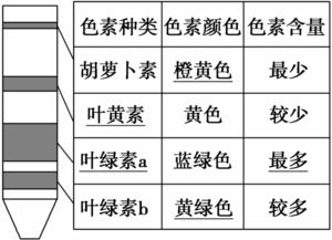 戊子合的作用(戊土与子水是什么关系)