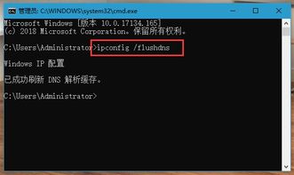 win10电脑突然无法解析dns