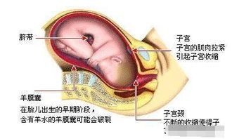 顺产开指究竟有多疼 很多宝妈开5指就受不了了