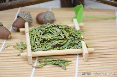 龙井茶可不可以做抹茶