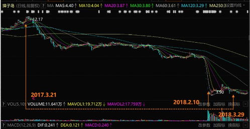 胡锡进股票投资损失415元