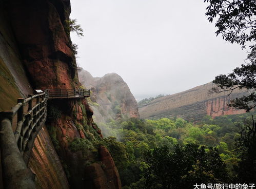 江西一个小众5A景区,形似一只 神龟 ,本地人都不知道