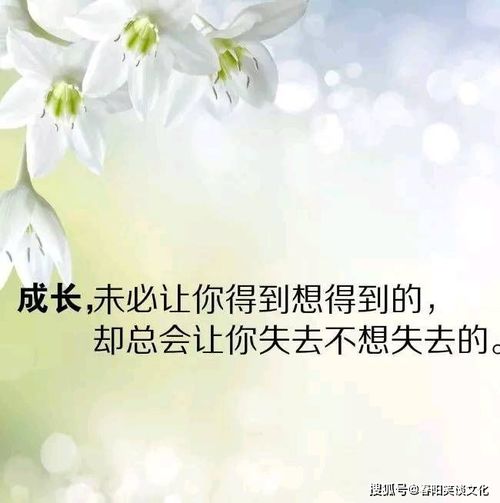 一句话简短经典说说心情短语,句句精辟,第一眼看到就爱上了