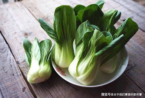 蔬菜大多是绿色的，为什么大家不把蔬菜叫做绿菜，而叫做青菜呢(为什么大部分蔬菜都是绿色的)