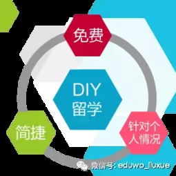 图解 DIY留学与中介留学的利弊分析 