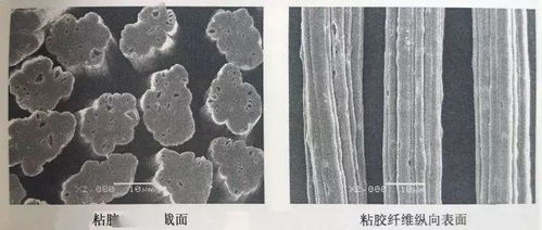 求胶粘短纤维的基本概念知识