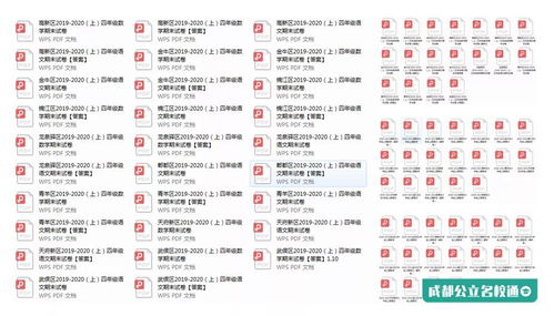 成都小升初大摇号填报指南 这所学校更容易摇中